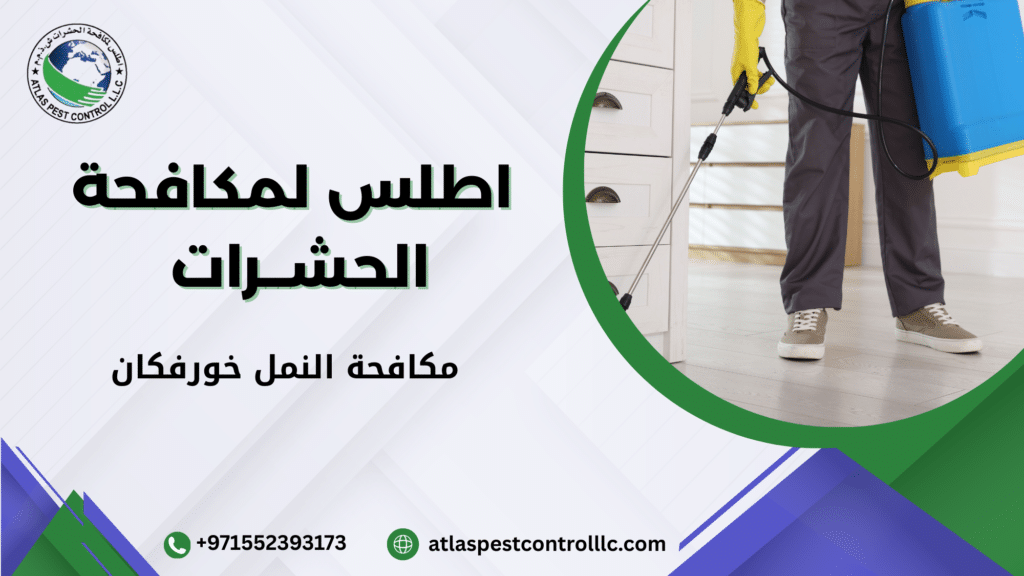 مكافحة النمل خورفكان