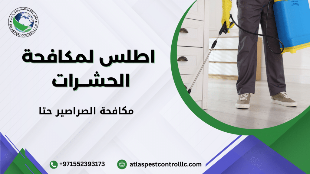 نصائح عملية قبل وبعد التنفيذ