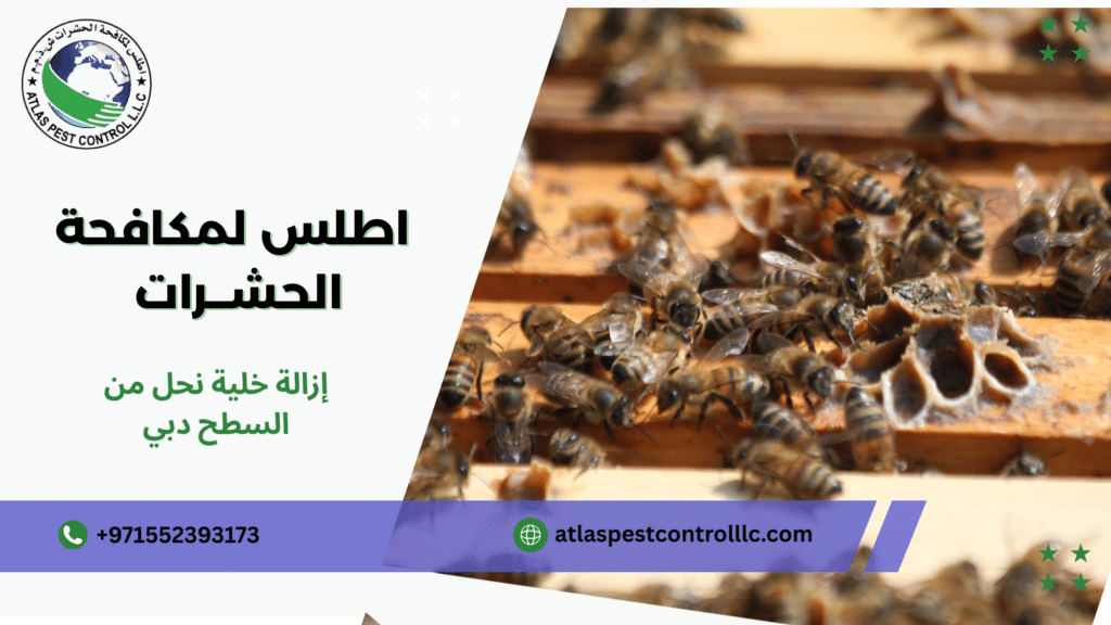 إزالة خلية نحل من السطح دبي