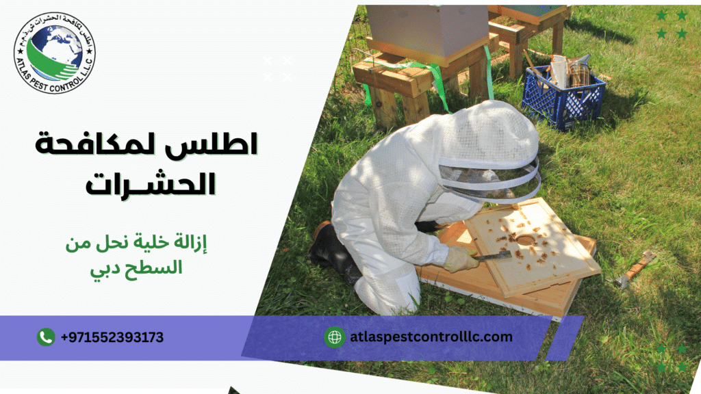 مفهوم إزالة خلية نحل وأهميتها