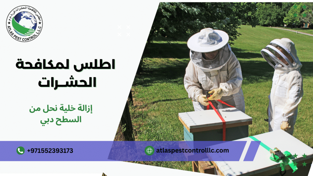 سيناريوهات استخدام حقيقية