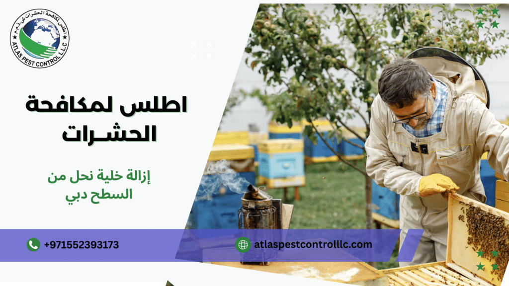 الأخطاء الشائعة التي يقع فيها المستخدمون