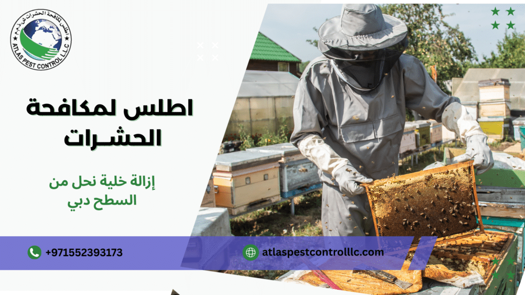 نصائح عملية قبل وبعد التنفيذ