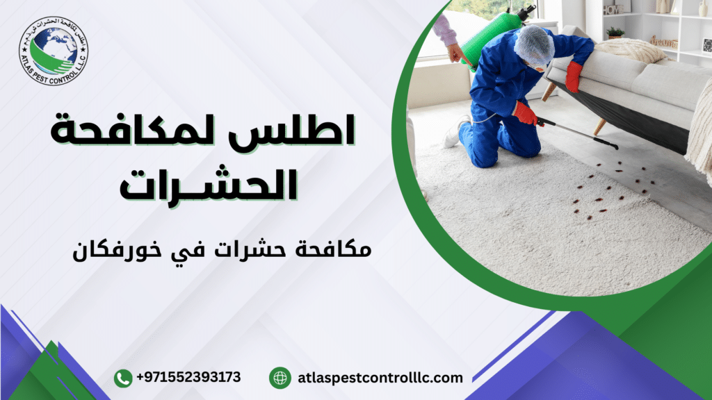 مكافحة حشرات في خورفكان