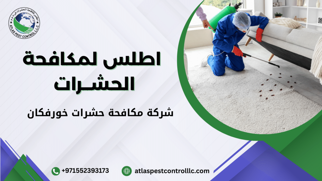 شركة مكافحة حشرات خورفكان
