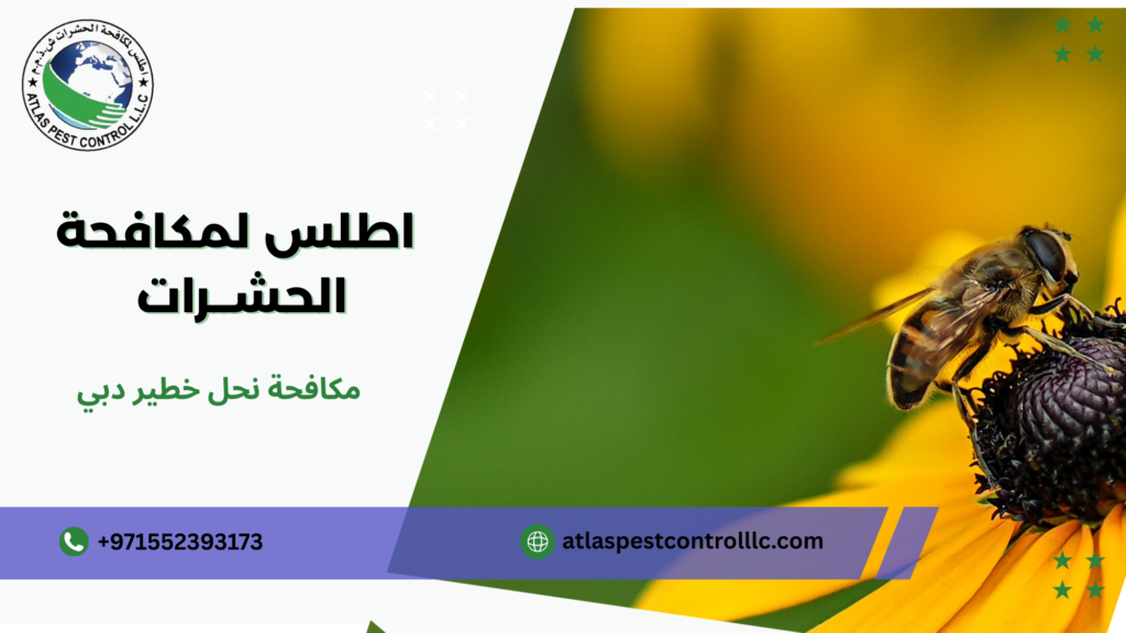 مكافحة نحل خطير دبي