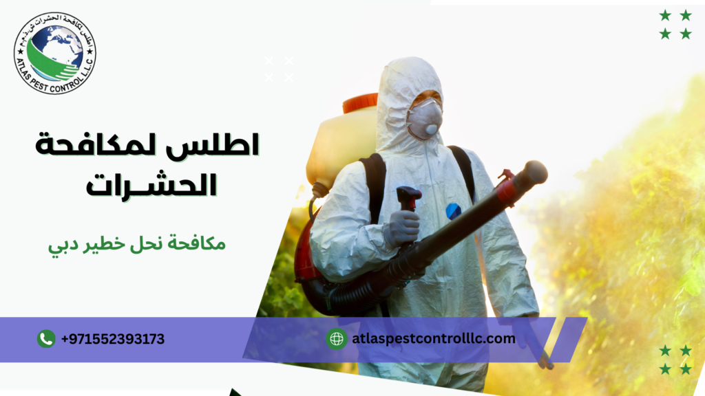 الأنواع أو الاختلافات المرتبطة بالموضوع