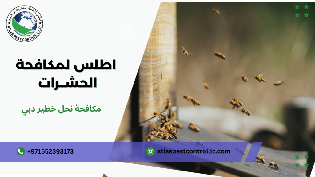 نصائح عملية قبل وبعد التنفيذ