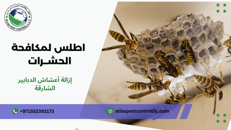 إزالة أعشاش الدبابير الشارقة