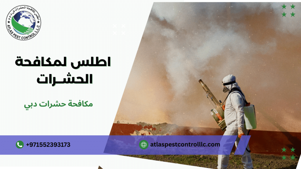 مكافحة حشرات دبي