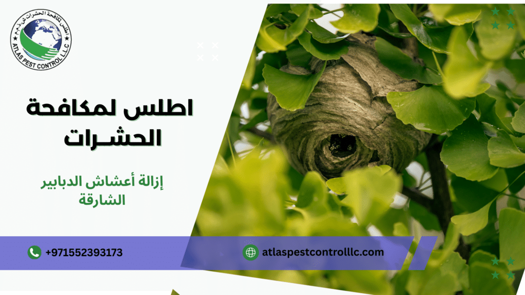 نصائح عملية قبل وبعد التنفيذ