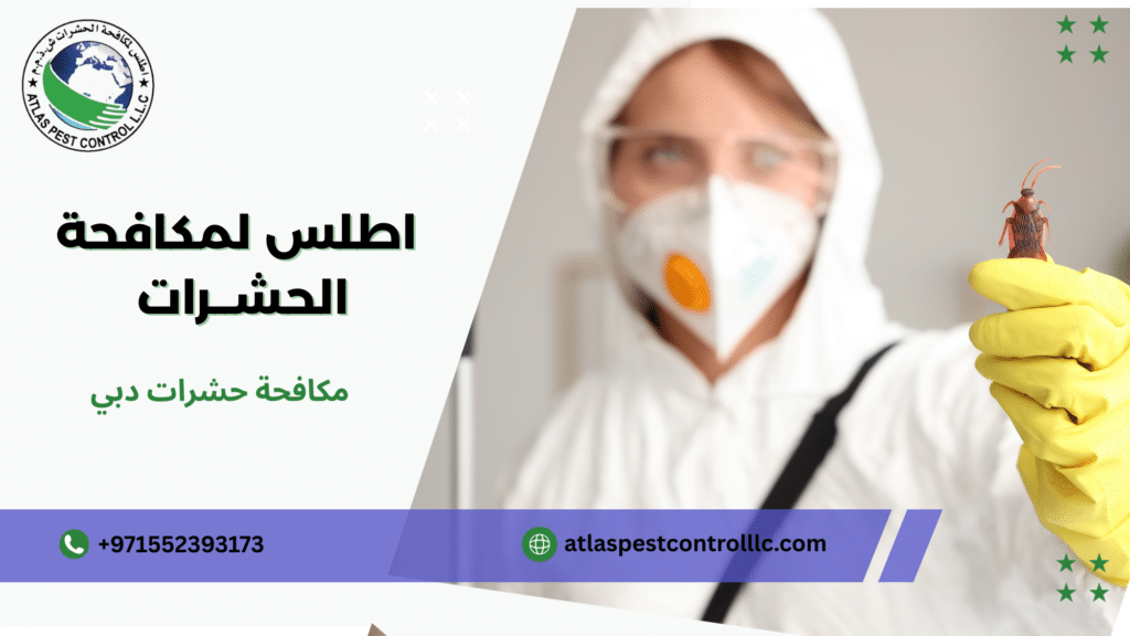 مكافحة حشرات دبي