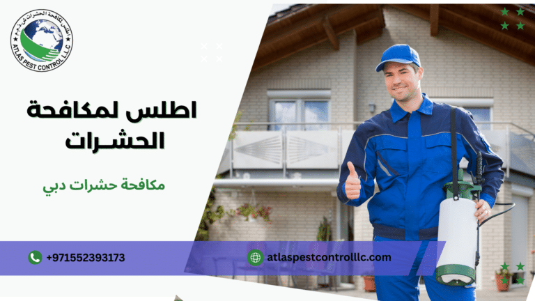 مكافحة حشرات دبي