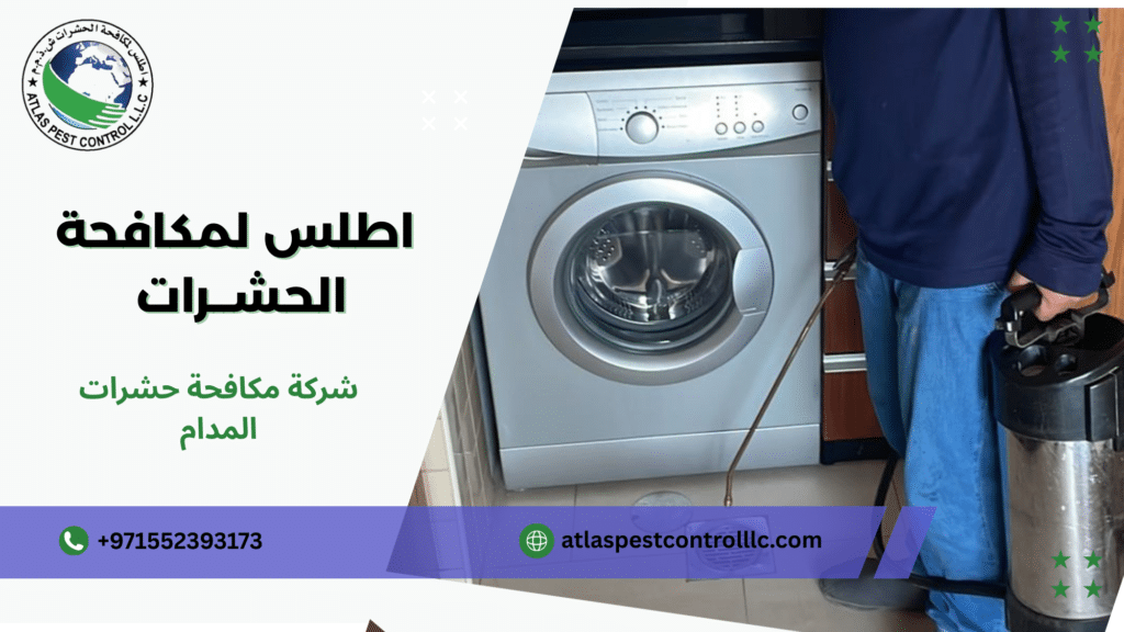 هل انتشار الحشرات في المدام مؤشر على خلل بيئي داخل العقار ويحتاج تدخلًا متخصصًا