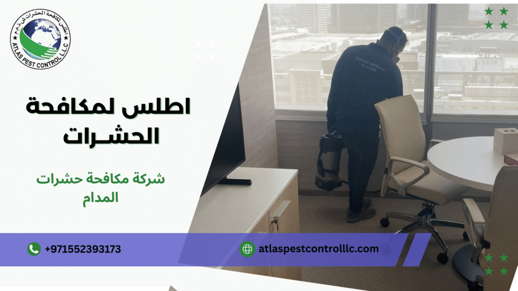 كيف يؤثر موقع العقار في المدام على نوع المعالجة المطلوبة