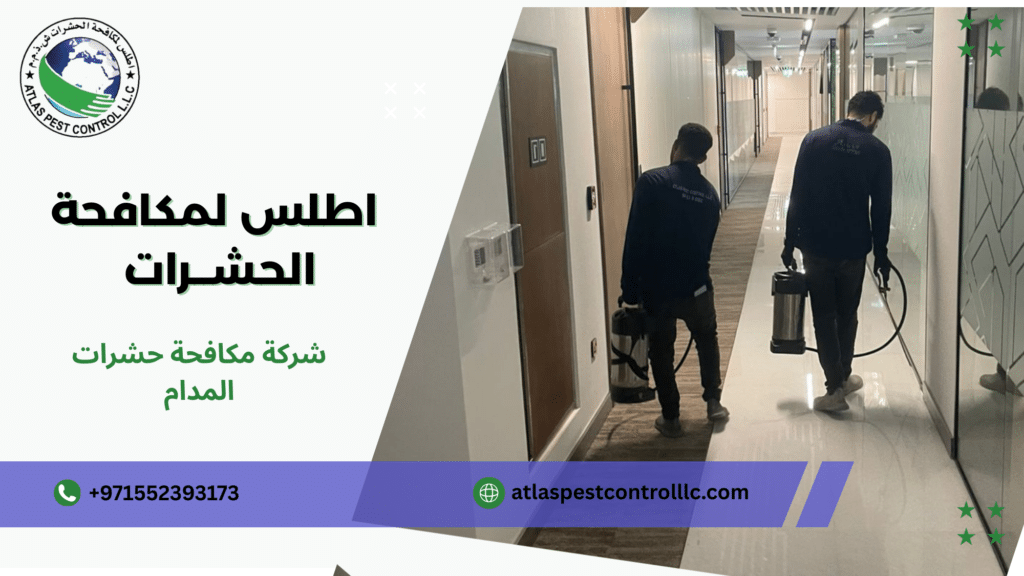 ما العوامل التي تؤثر على السعر والنتيجة النهائية