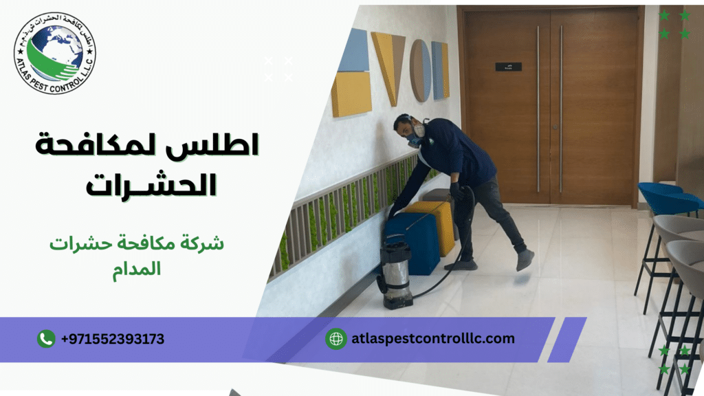 نصائح عملية قبل وبعد التنفيذ لضمان أقصى فاعلية