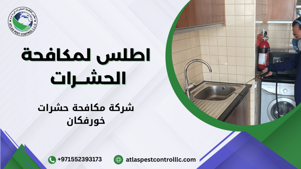 لماذا يمنحك التعامل مع جهة متخصصة مثل اطلس استقرارا فعليا يمكن ملاحظته