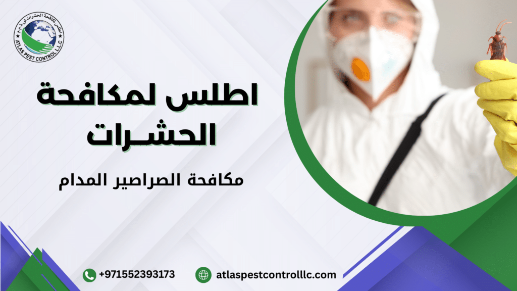 مكافحة الصراصير المدام