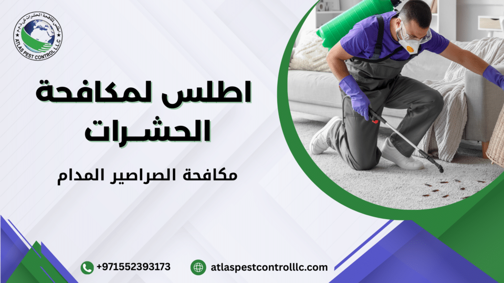 متى يصبح التدخل الاحترافي ضرورة وليس خيارا