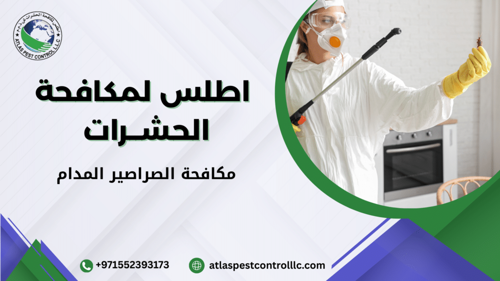 ما العوامل التي تؤثر على النتيجة والسعر بشكل مباشر