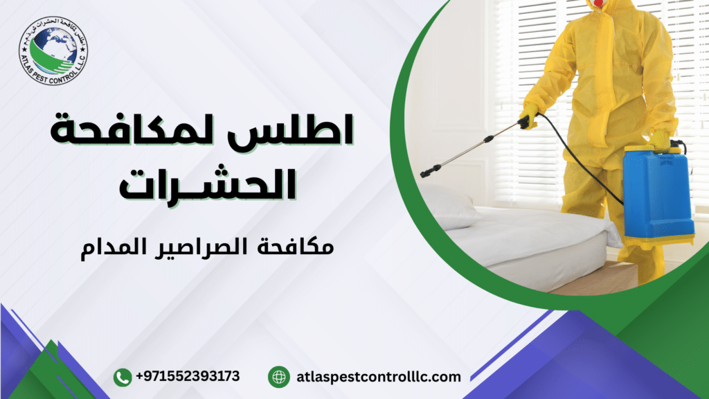 نصائح عملية قبل وبعد التنفيذ لضمان أفضل نتيجة