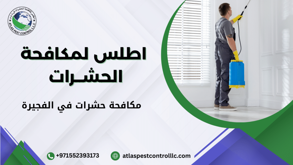 مكافحة حشرات في الفجيرة