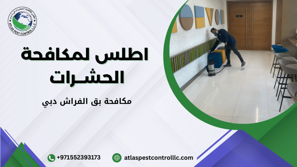 مكافحة بق الفراش دبي