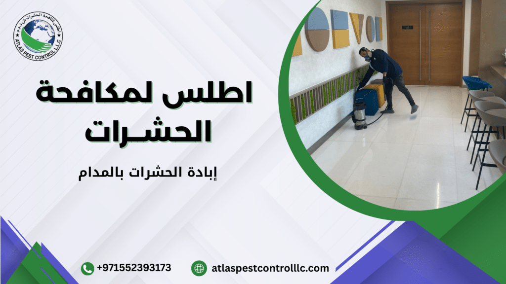 إبادة الحشرات بالمدام