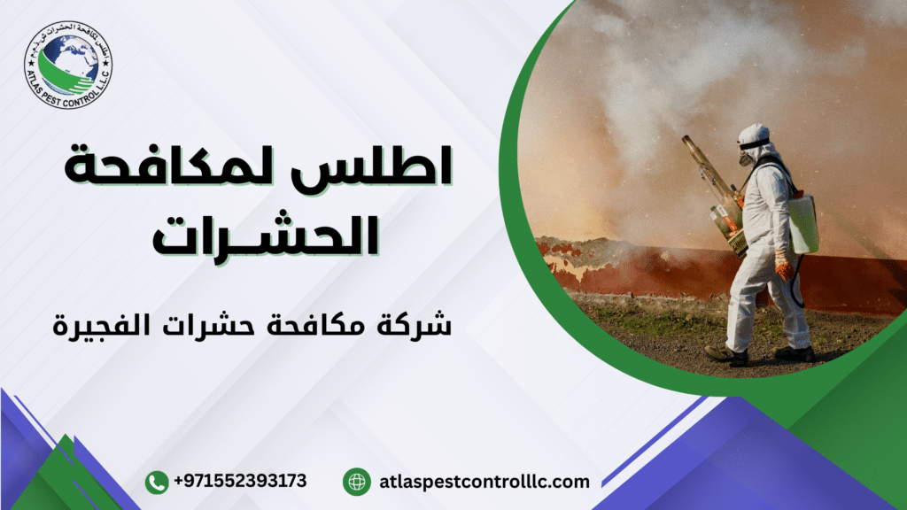 شركة مكافحة حشرات الفجيرة