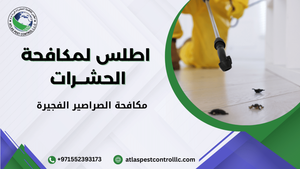 مكافحة الصراصير الفجيرة