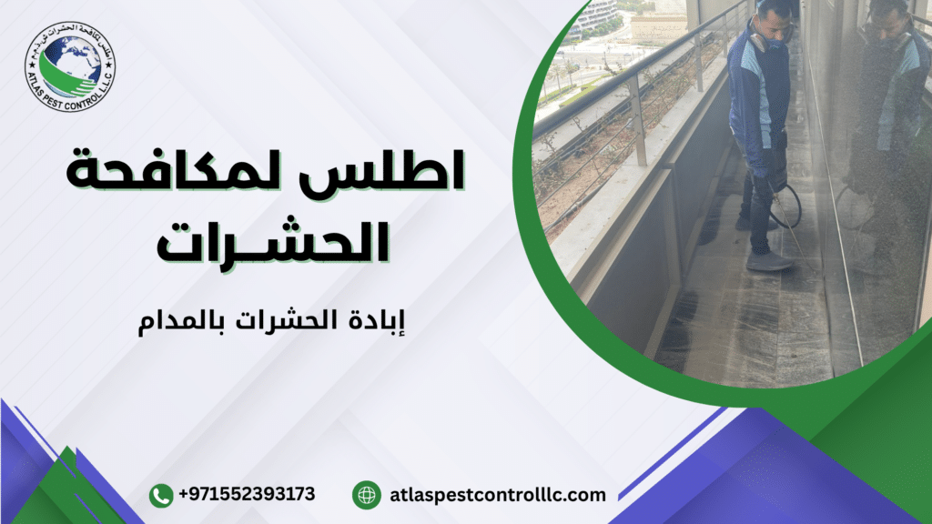 إبادة الحشرات بالمدام