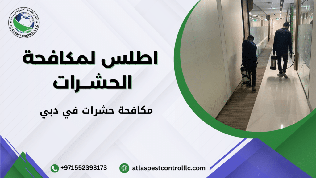 الأخطاء الشائعة