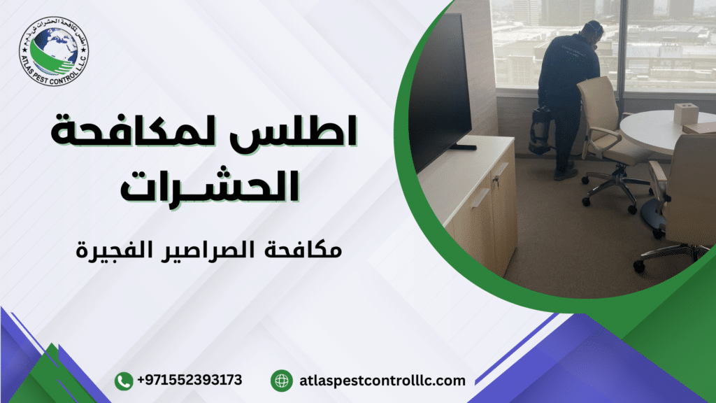 مكافحة الصراصير الفجيرة: حلول فعالة للتخلص من الصراصير نهائياً