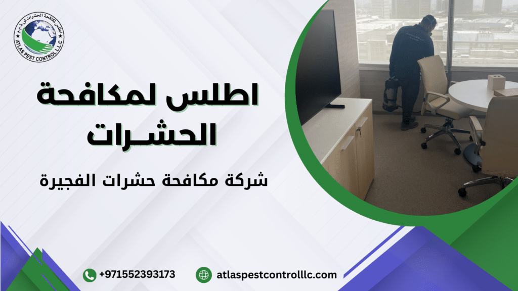 شركة مكافحة حشرات الفجيرة