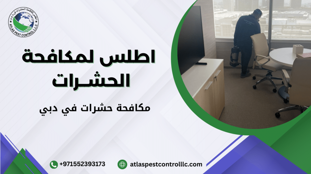 العوامل المؤثرة على الجودة أو السعر أو النتيجة