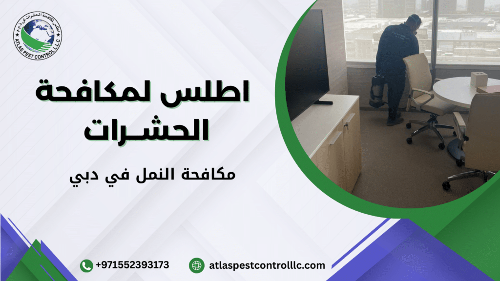 نظرة شاملة على خدمات مكافحة النمل في دبي