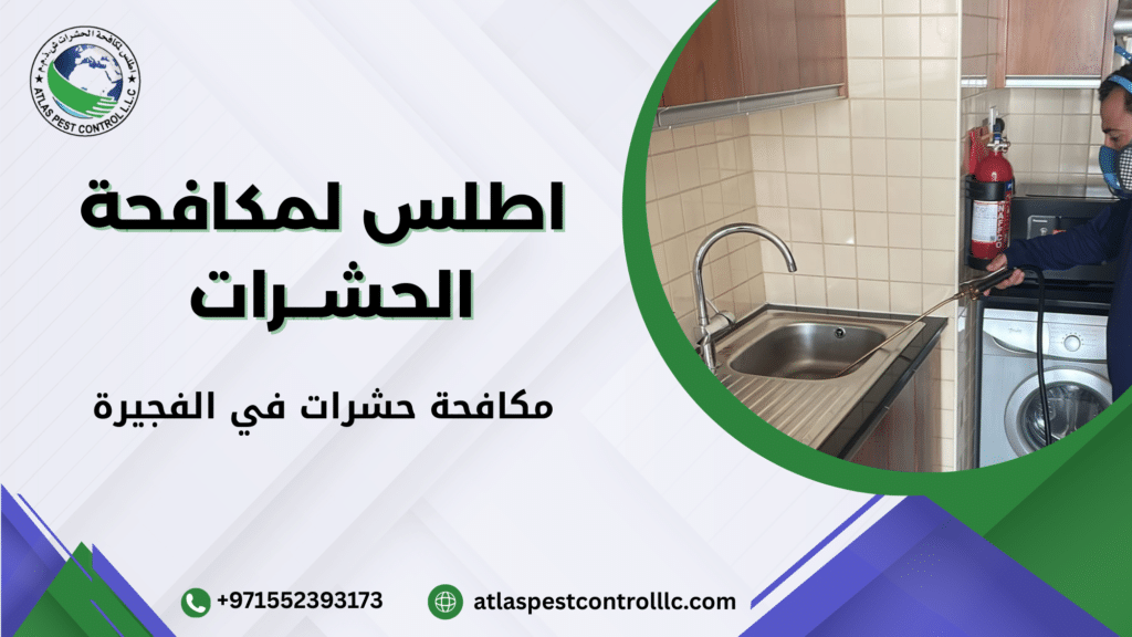 لماذا الاستعانة بشركة مختصة أفضل