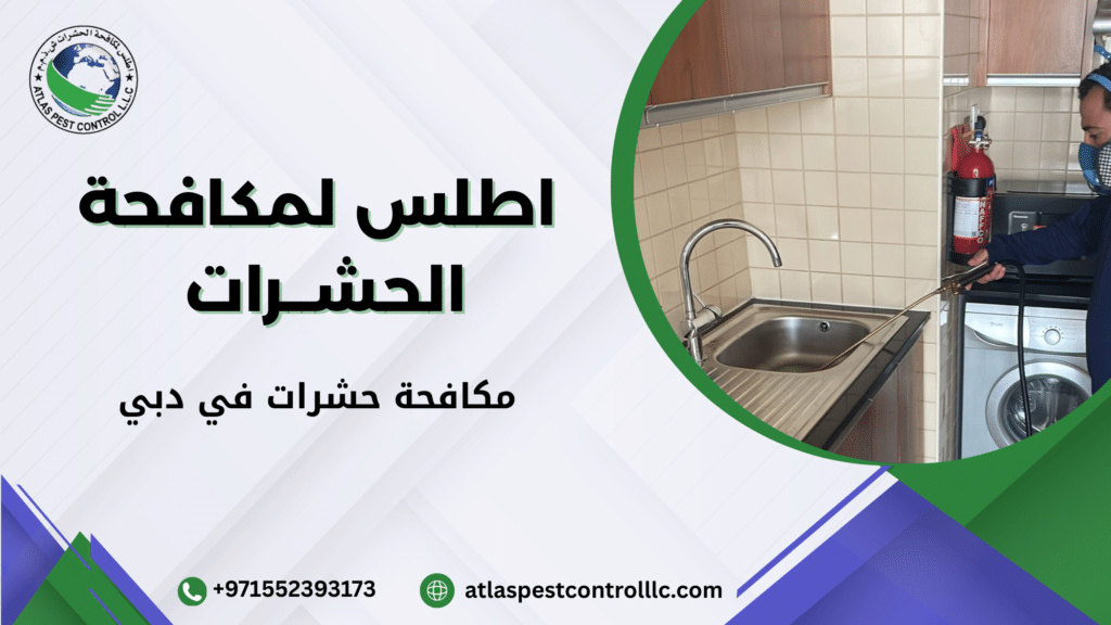 لماذا يحتاج المستخدم إلى حل احترافي