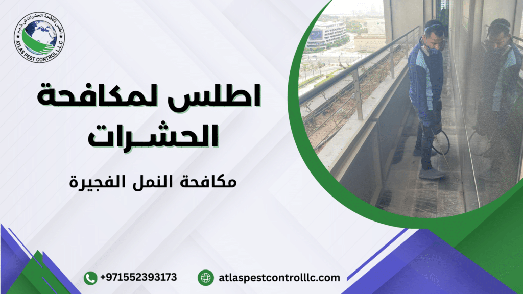 ما هو مفهوم مكافحة النمل وكيف يعمل