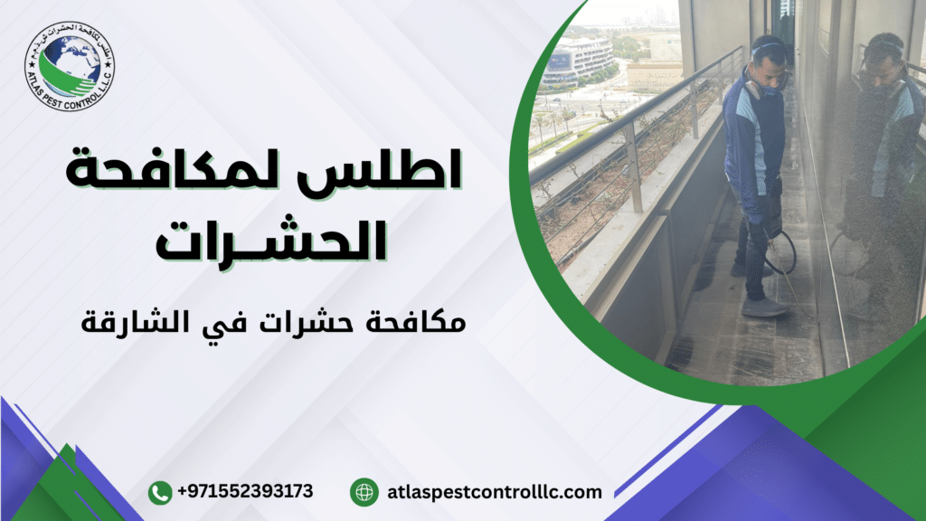 مكافحة بق الفراش الشارقة