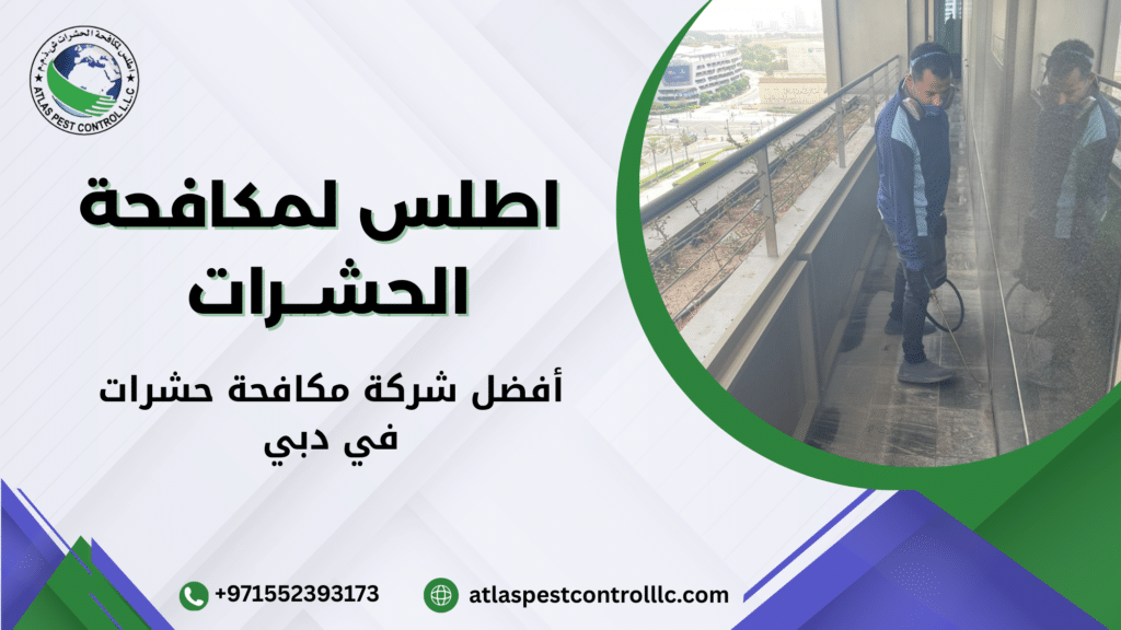 أفضل شركة مكافحة حشرات في دبي