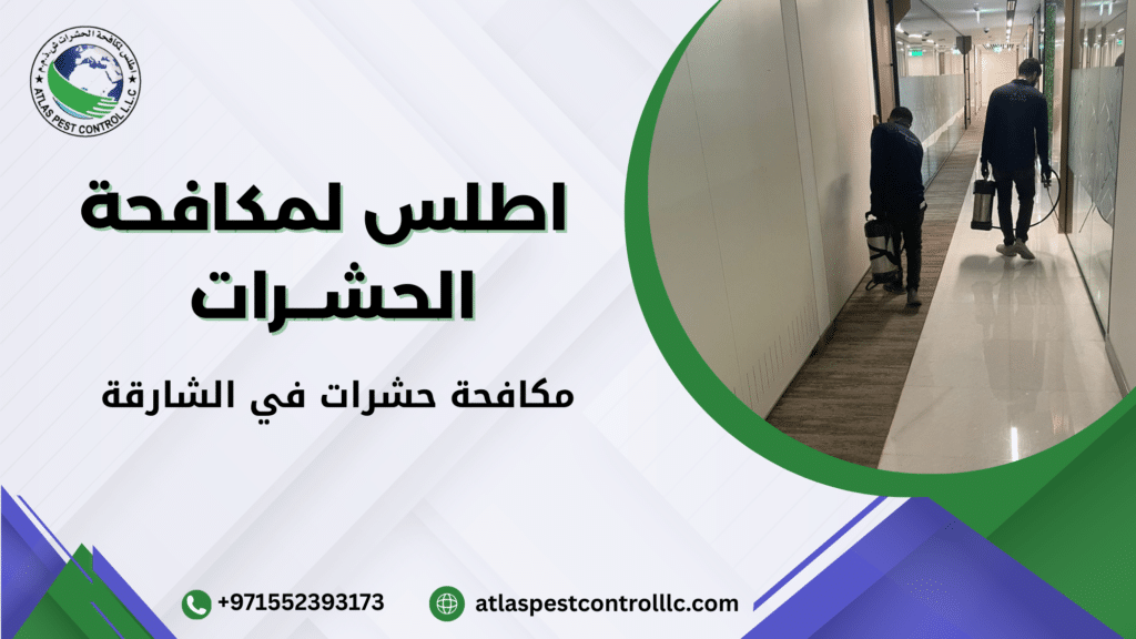 مكافحة حشرات في الشارقة