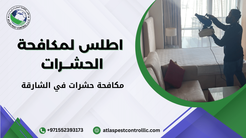 أخطاء شائعة تجعل مشكلة الحشرات تتكرر