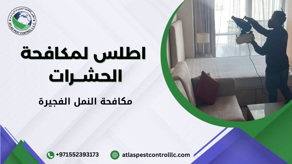 جدول مقارنة طرق مكافحة النمل