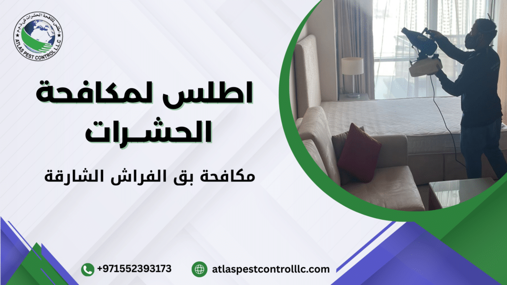 الأخطاء الشائعة