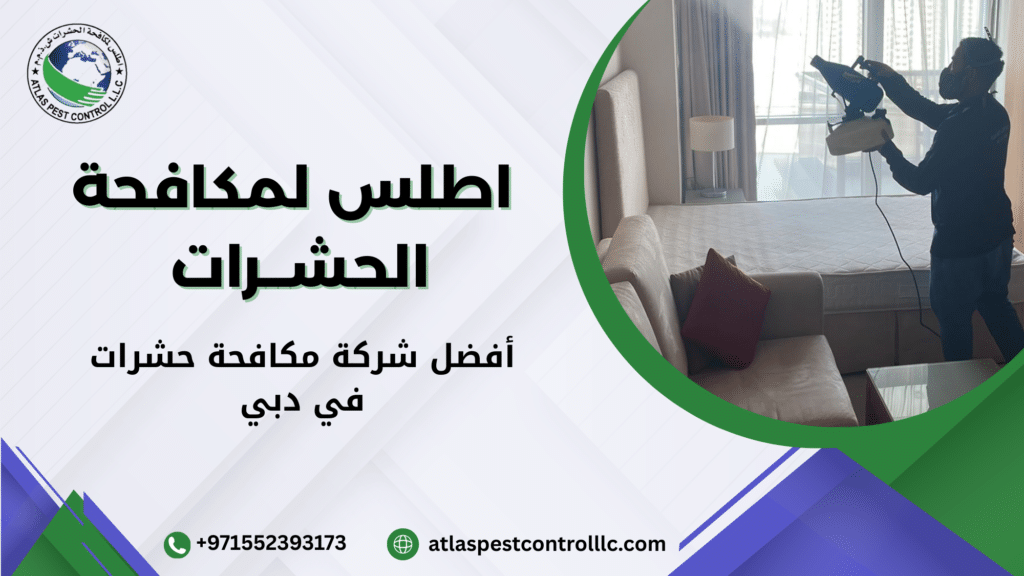 الأخطاء الشائعة