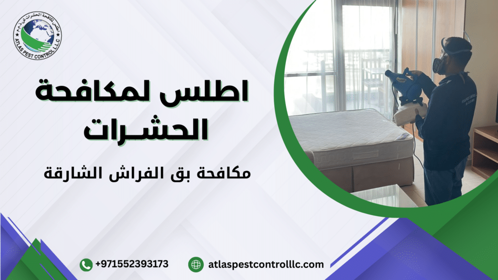 العوامل المؤثرة على الجودة والسعر