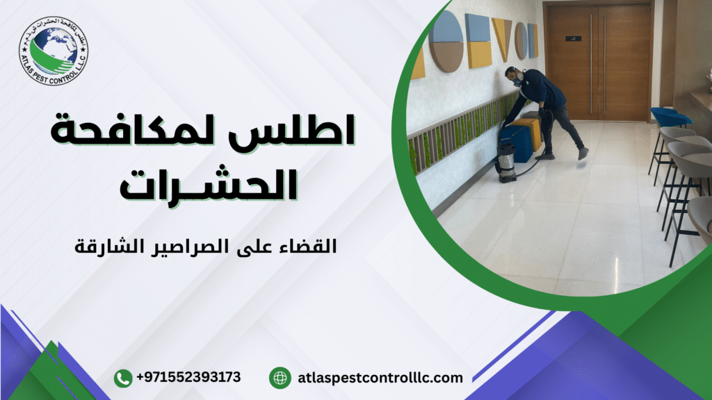 أسباب انتشار الصراصير في الشارقة