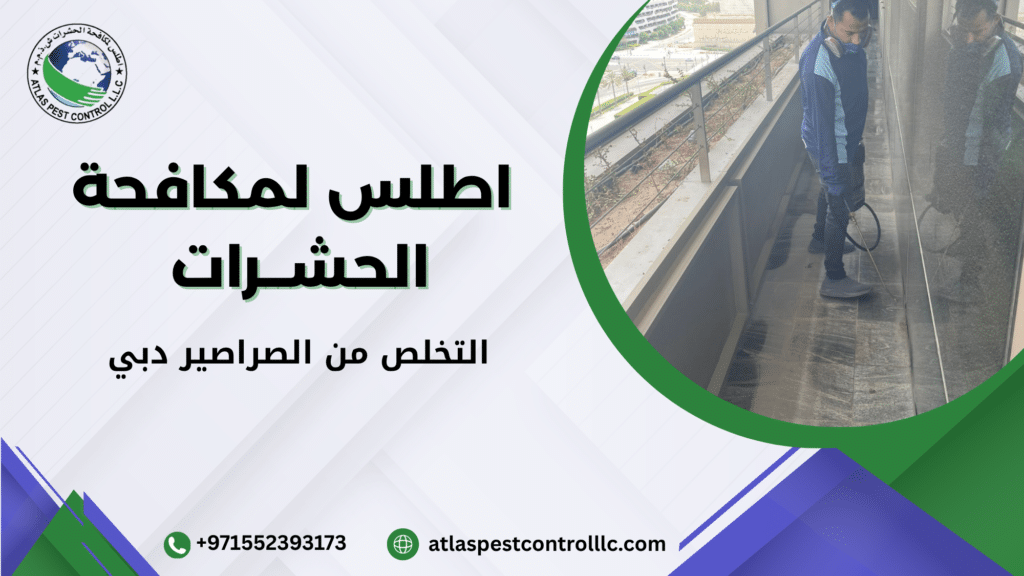 التخلص من الصراصير دبي